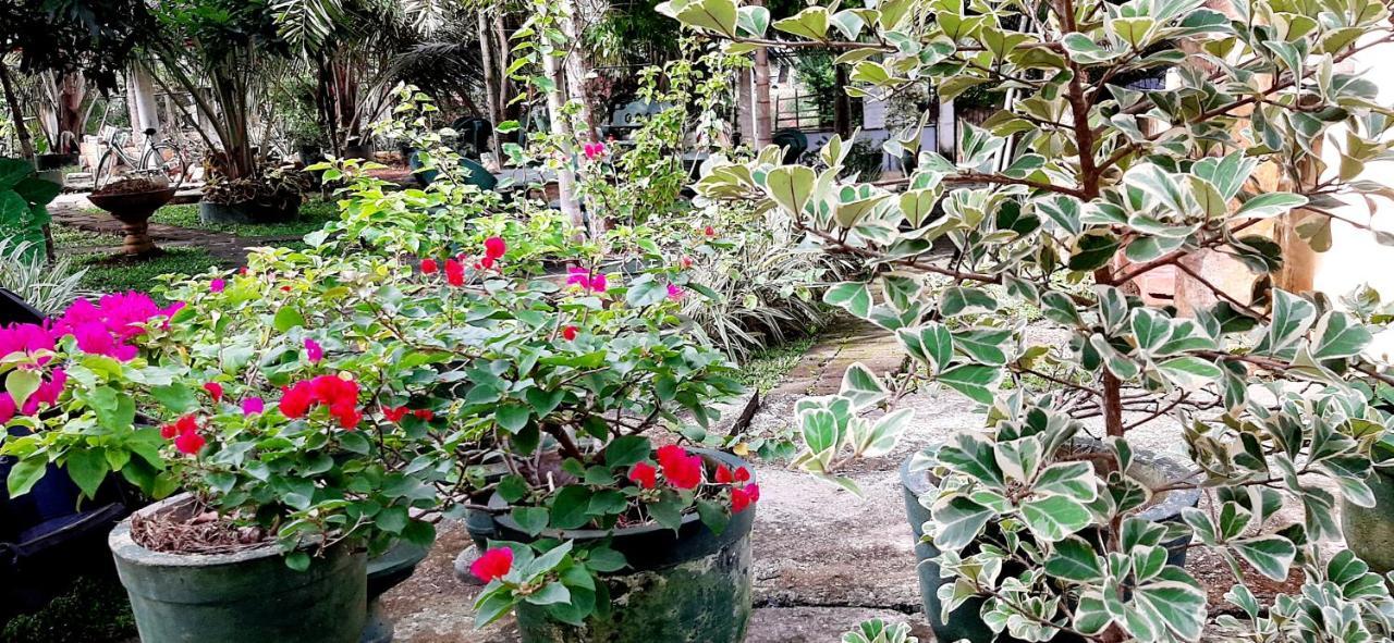 Hiriketiya Cinnamon Garden Dickwella Exterior foto
