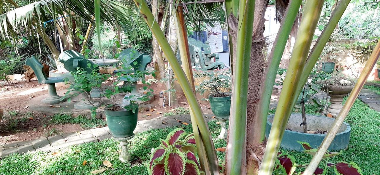 Hiriketiya Cinnamon Garden Dickwella Exterior foto