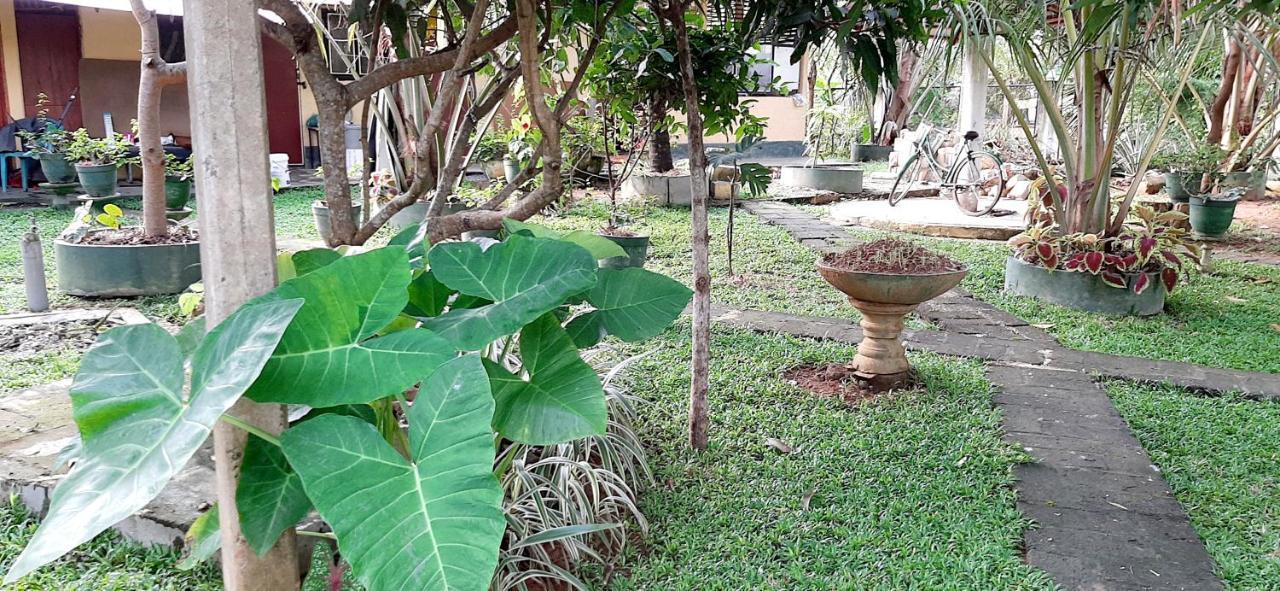 Hiriketiya Cinnamon Garden Dickwella Exterior foto